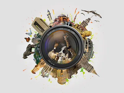 Photography Contest Poster animals contest photograph poster urbanization