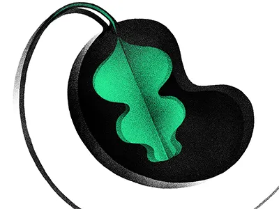 Plants darkness giovanna giuliano green illustration plants silence vases