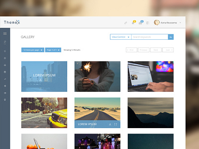ThemeX Gallery blue design gallery images ui ux