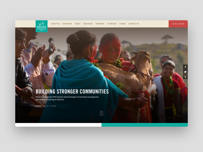 Example of Homepage of the website for a Non-profit