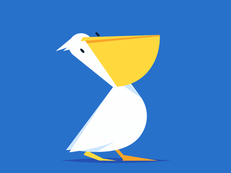 Pelican animation bird cartoon character gif motiongraphics pelican walk