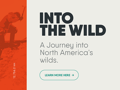 Qanelas Soft — In use #1 design font free type typography