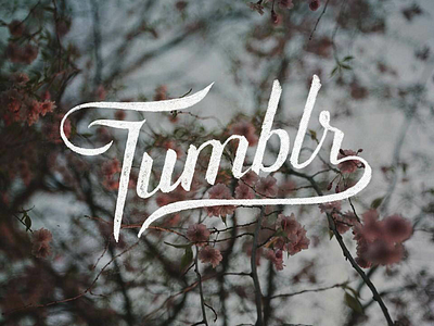 Tumblr craft hand craft lettering typography