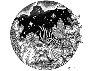 Night black drawing flowers hand drawn illustration leaves monochrome nature night stars