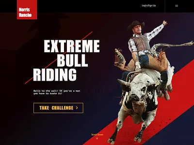 Day003 dailyui landing ui ux