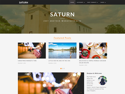 SATURN - A Personal/Travel Wordpress Blog Theme audio blog clean gallery infinite infinite scroll one column personal saturn shop travel video