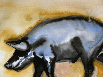 Pig illustration painting watercolour