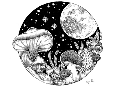 Magic Mushrooms black drawing hand drawn illustration monochrome mushrooms nature night stars