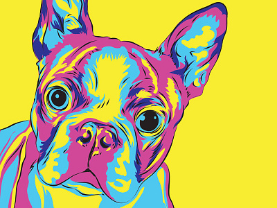 Colorful Boston Terrier american animal art boston terrier dog gentleman illustration pet vector