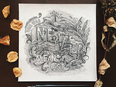 ink on paper. drawing flowers illustration lettering typography