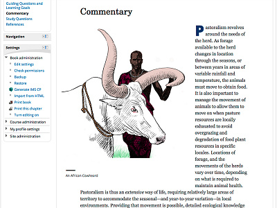 Cowheard in Layout anthropology athabasca university course illustration layout moodle