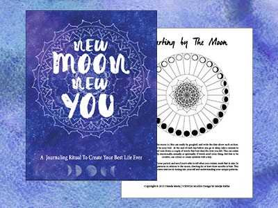 New Moon ebook