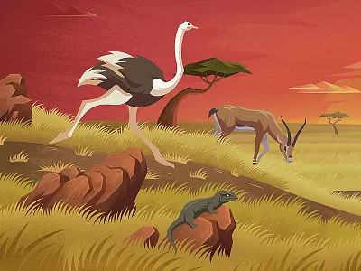 Grasslands africa animals gazelle grass grasslands lizard ostrich sunset warm