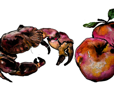 Crabs And Apples illustration painting watercolour