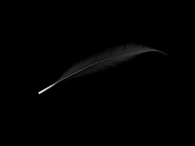 000_PBP_BlackFeather all blacks bird black c4d feather new zealand nz practice