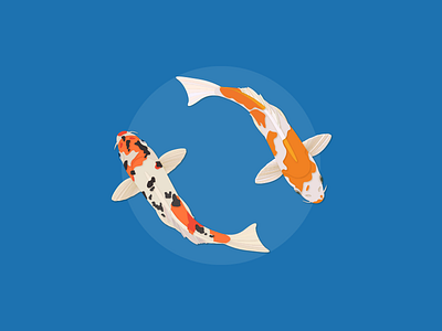 Koi illustrator works