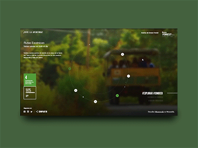 Green Forest Route Navigation adventure animation experience forest green pines ui web design website