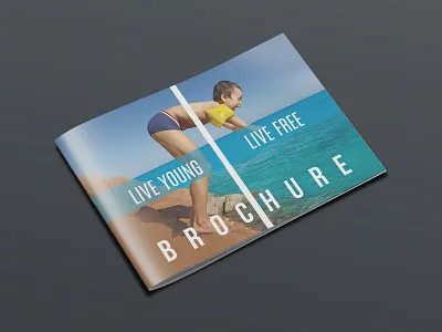 Brochure bifold booklet brand branding brilliant brochure commercial brochure corporate corporate brochure creative concept landscape brochure multipurpose