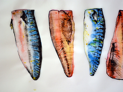 Mackerel Fillets illustration pen and ink