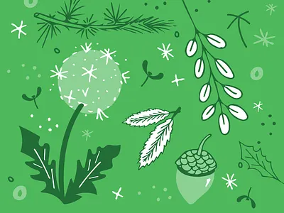 Nature illustration design illustration nature pattern