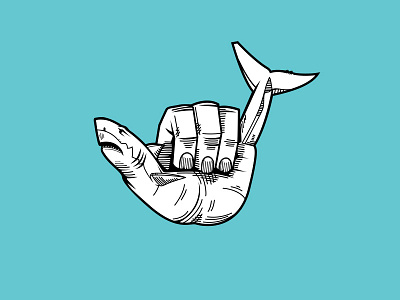 Sharka illustration shaka shark