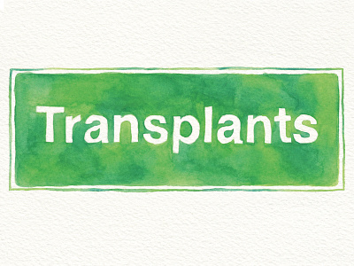 Transplants handlettering handtype lettering painting type typography watercolor