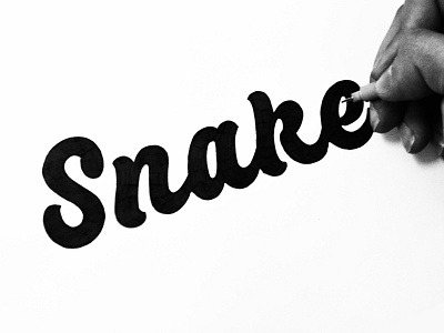 Snake lettering brushpen calligraphy custom font hand lettering lettering logo logotype type typerface typography