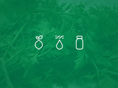 Pres icons cold pressed corporate identity fruites icon icons illustration juice pres