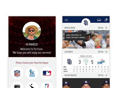 Favorite sport baseball ios sports ui widgets