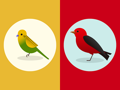 Parakeet + Tanager animal audubon bird parakeet parrot scarlet tanager vector