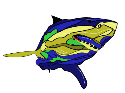 Shark Line Art illustration shark