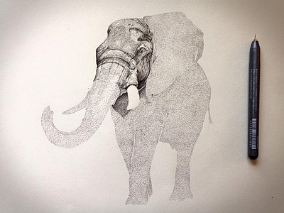 Elephant Progress animals drawing illustration ink