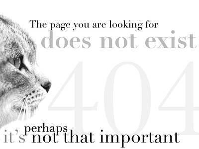 08 - 404 page 008 cat dailyui