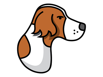 Springer Spaniel