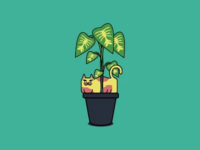 ¯\_(ツ)_/¯ cat dieffenbachia instagram moment plant
