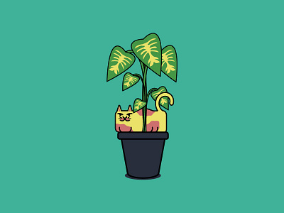 ¯\_(ツ)_/¯ cat dieffenbachia instagram moment plant