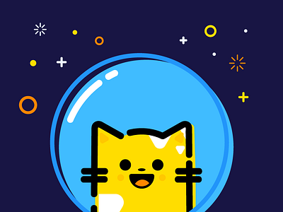 Copy Cat Project: MBE cat cute geometric space