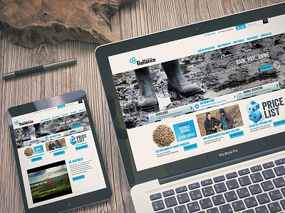 Ballance Website redesign responsive website