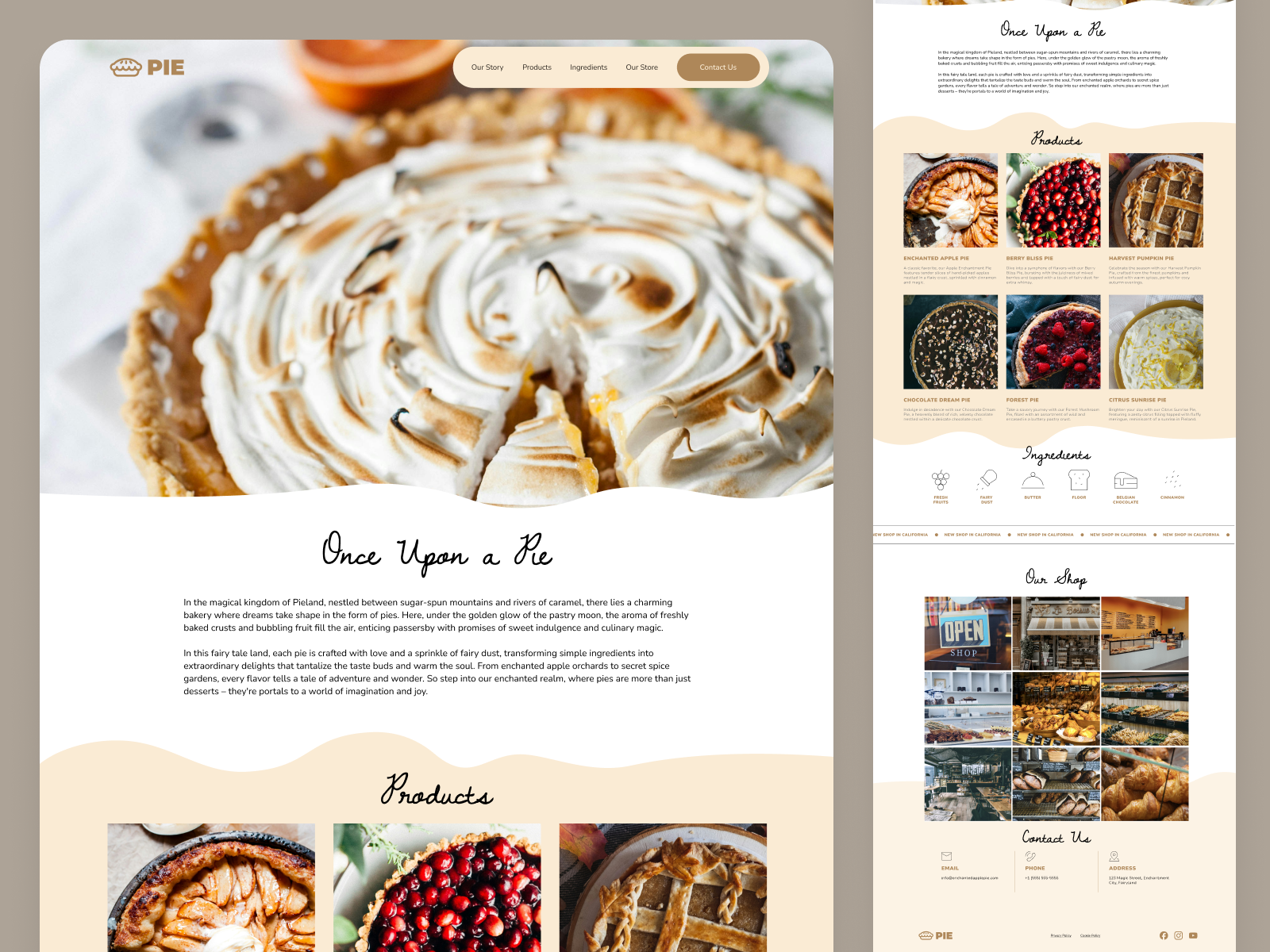 Example of Website Design