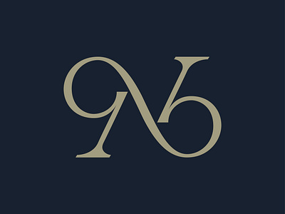 Infinity N Letter Monogram beauty boutique brand cute elegant fashion infinity luxury minimal monogram n royal salon