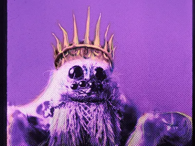 Spider King editorial fiction public transit spider weird