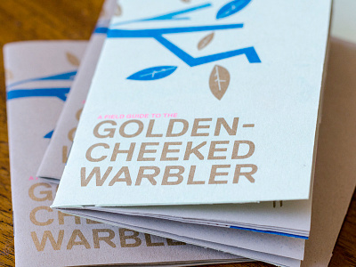 golden-cheeked warbler austin bird book booklet field guide illustration leaf nature riso risograph tree