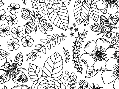 Birds & Botanicals bees birds botanicals coloringbook illustration