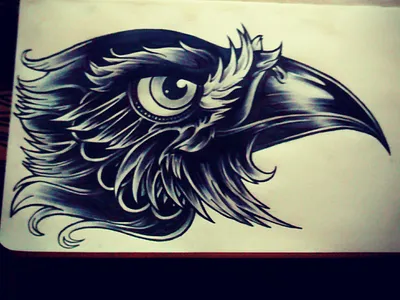 Traditional Flash Eagle art blackwork design eagle flash illustration ink tattoo