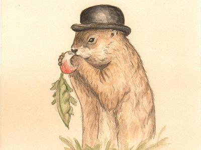 Diggery animals in clothes anthropomorphic art groundhog day illustration nature painting spring watercolor