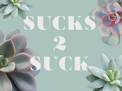 Sucks to suck cacti design mint gree overlay pastels plants rosette succulent suck type