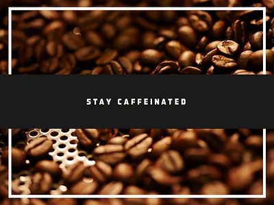 Jay Fram promo booklet — beans belly band caffeineated coffee photo photography print