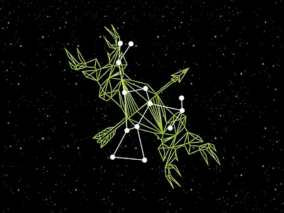 Orion Constellation abstract constellation illustration line art orion space stars vector