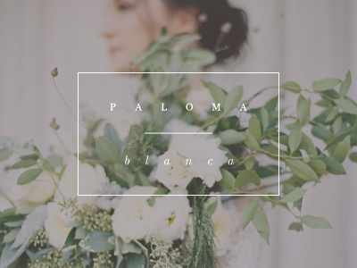 Paloma Blanca Alternate Logo branding fine art logo serif