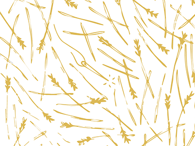 Needle in Hay design haystack illustration needle print wipe zine